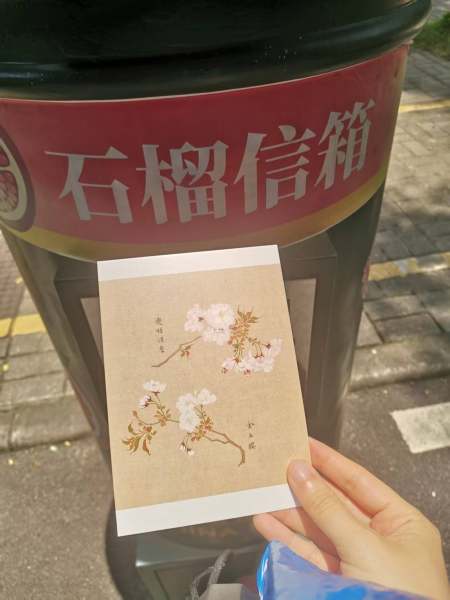 明信片照片