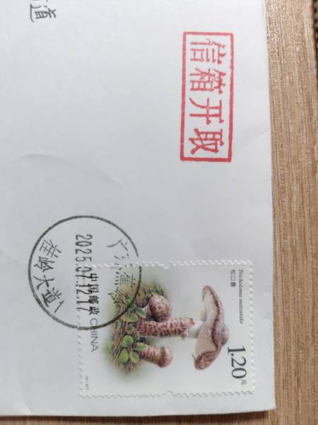 明信片照片