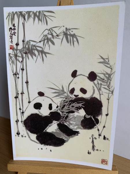 明信片照片