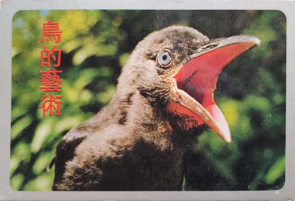 明信片照片