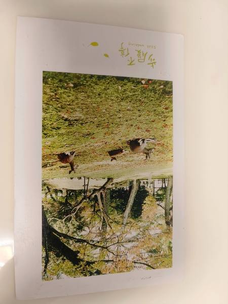 明信片照片