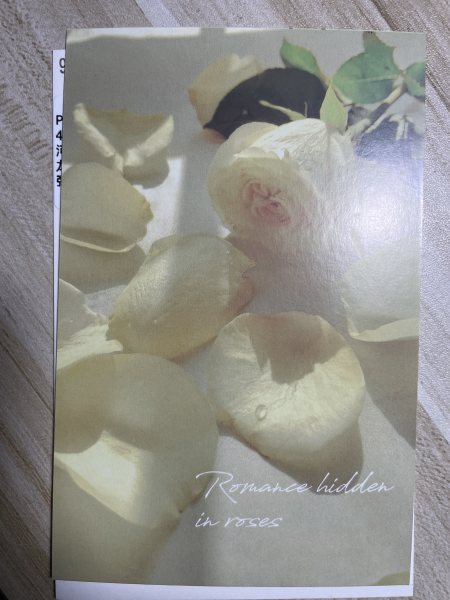 明信片照片
