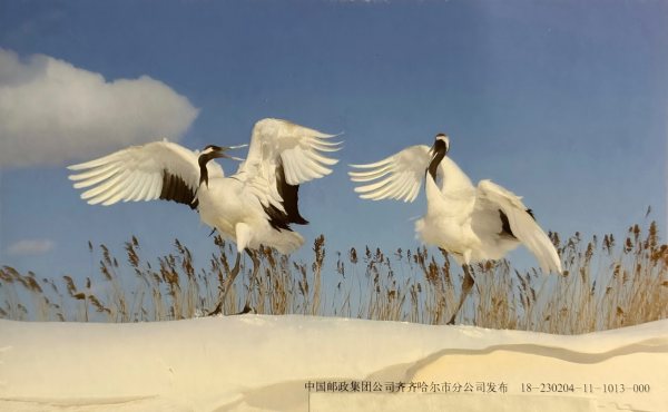 明信片照片