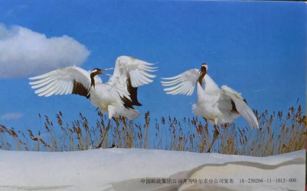 明信片照片