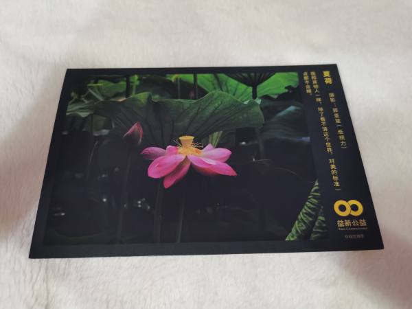 明信片照片