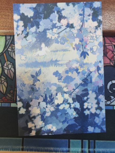 明信片照片