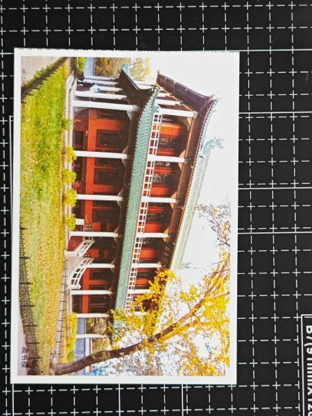 明信片照片