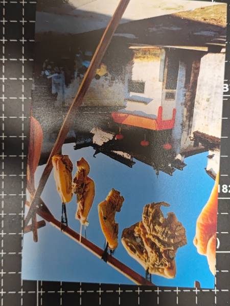 明信片照片