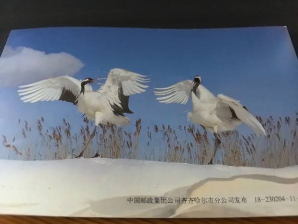 明信片照片