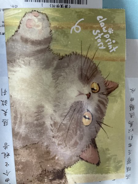明信片照片