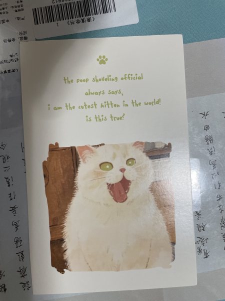 明信片照片