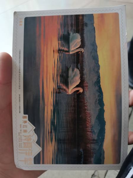 明信片照片