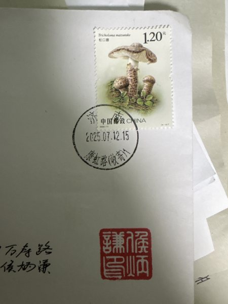 明信片照片