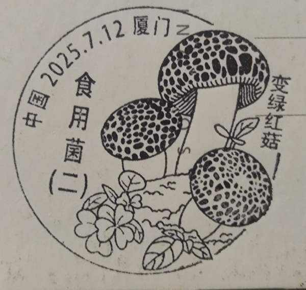 明信片照片