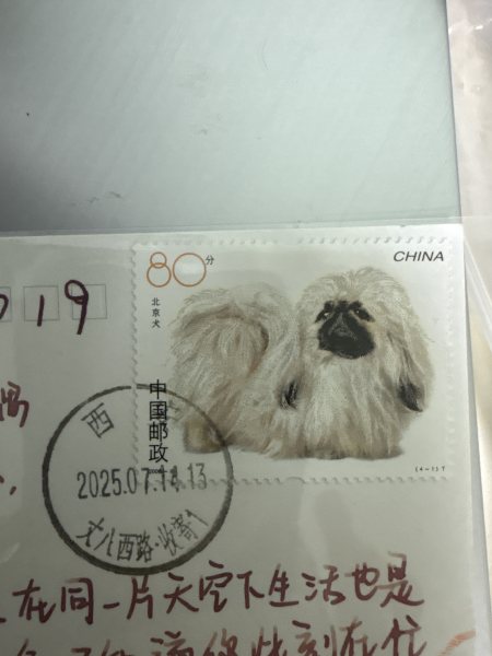 明信片照片