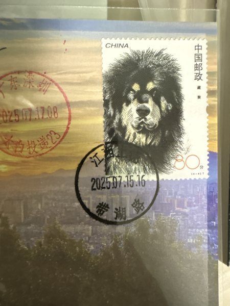 明信片照片