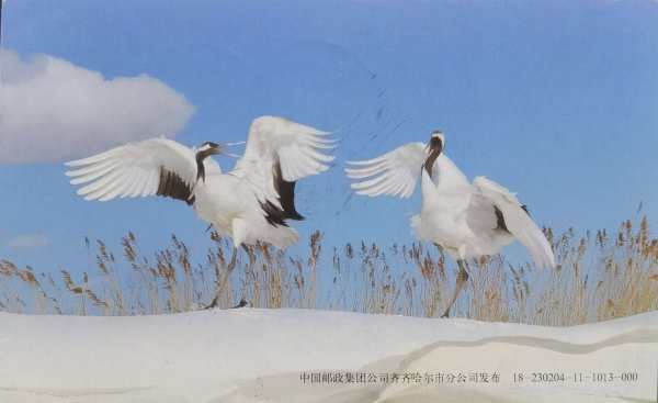 明信片照片