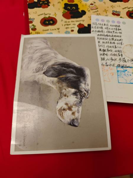 明信片照片