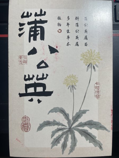 明信片照片