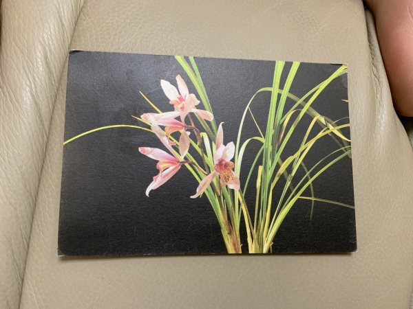 明信片照片