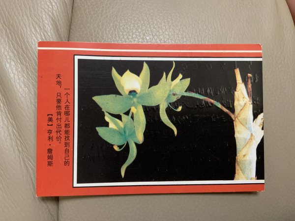 明信片照片
