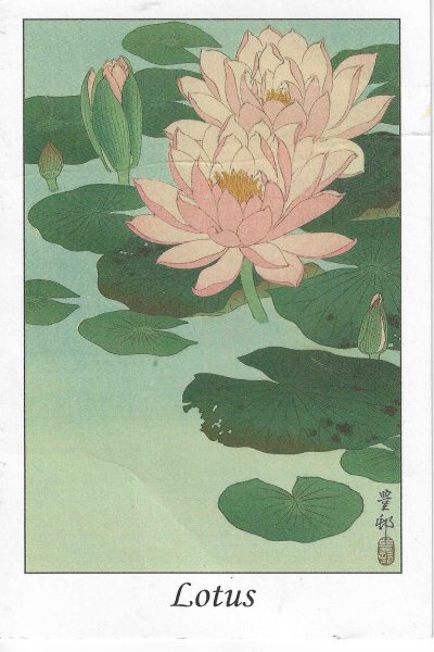 明信片照片