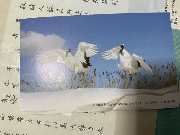 明信片照片