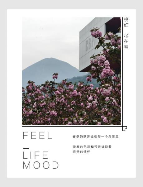 9f112accdc7e4ec78ab8aedfd615c8c9.jpg