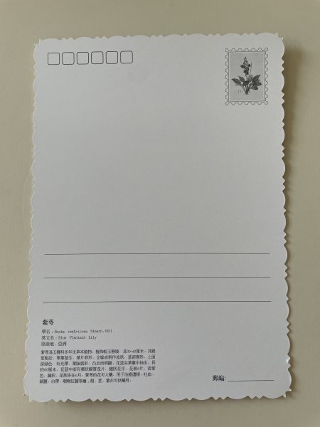 9f430eced0214e668c8aa97f00343eae.jpg