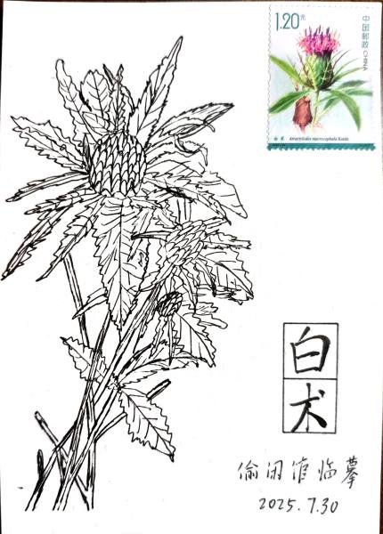 9f84165daada45d79d7c3e2d37fd815f.jpg